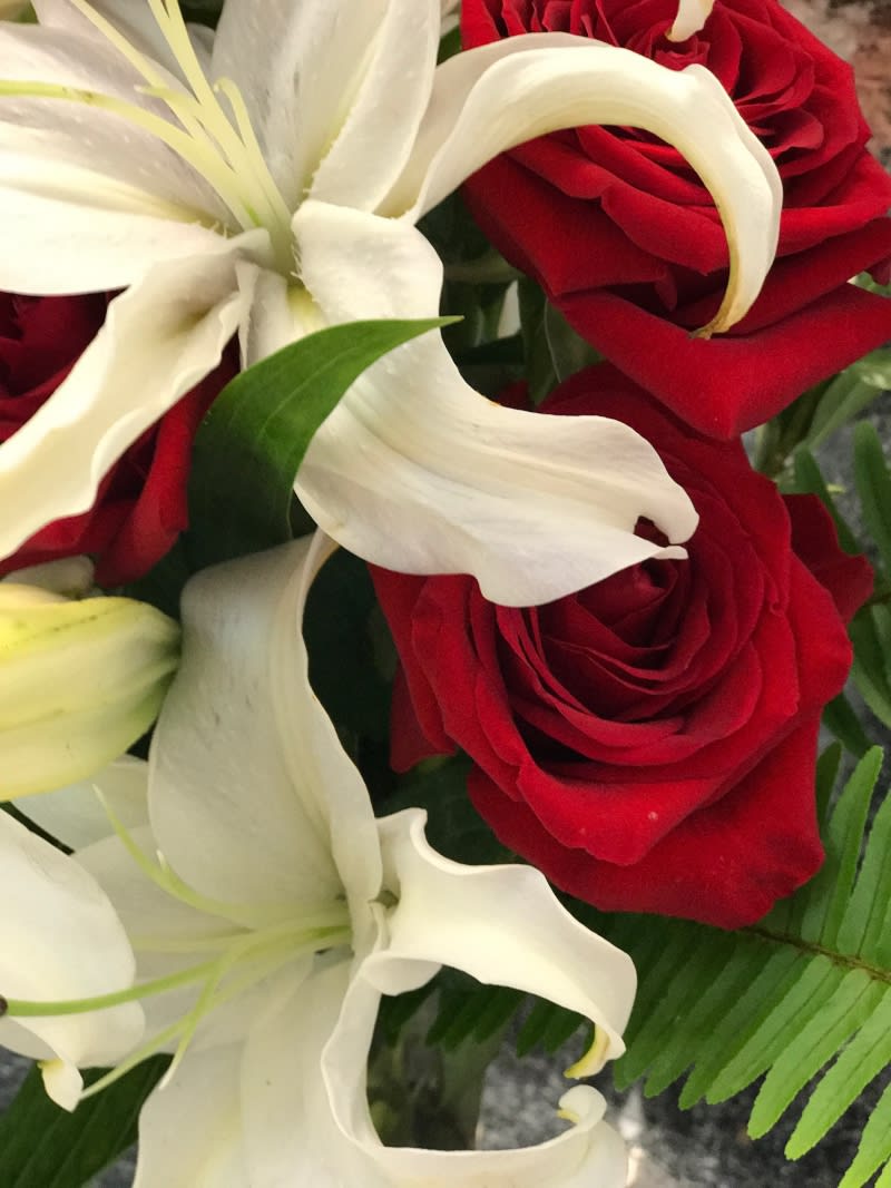Casablanca Lilies With Red Roses in Fort Lauderdale, FL ...