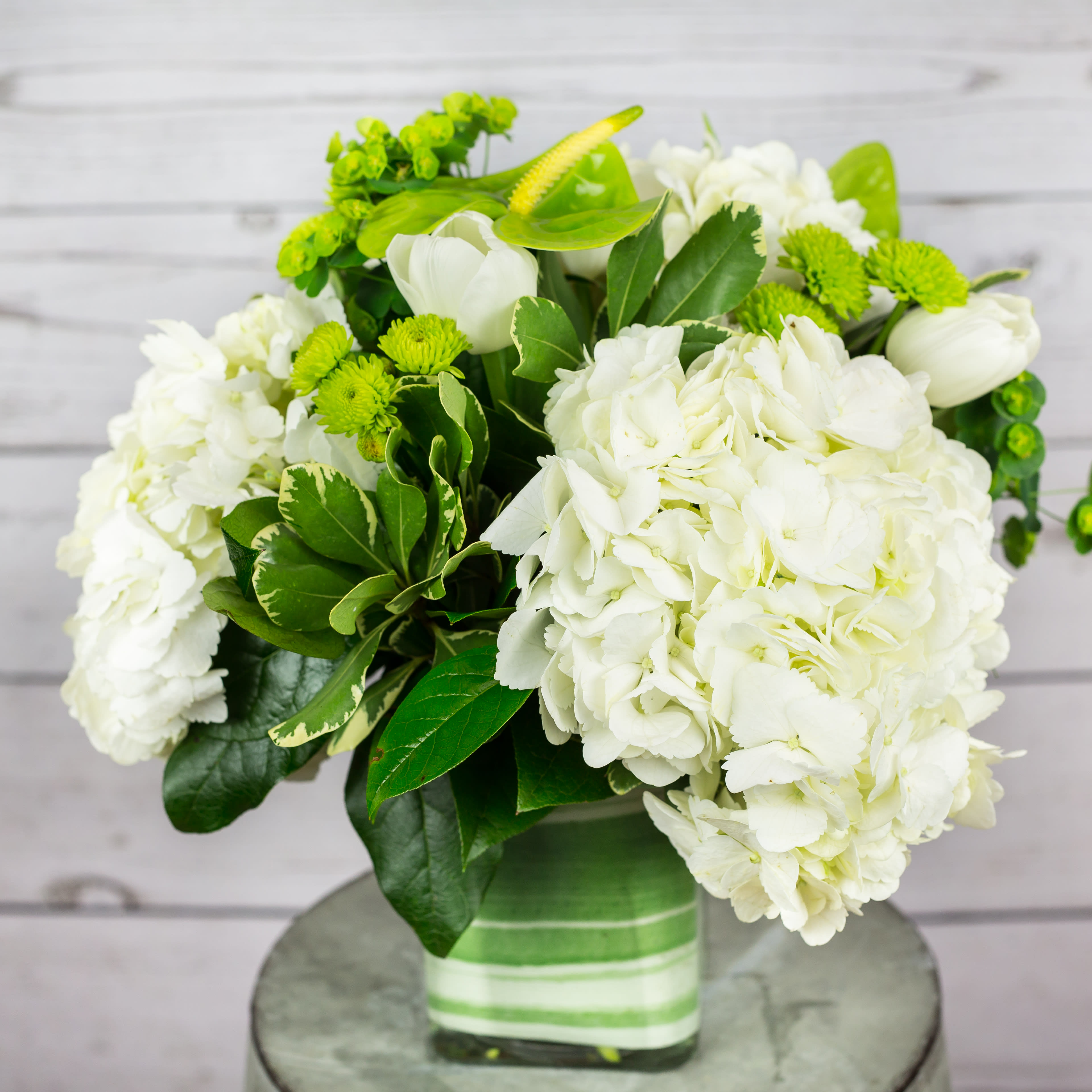 Peace and Comfort in ALEXANDRIA, VA | FOXGLOVE FLOWERS