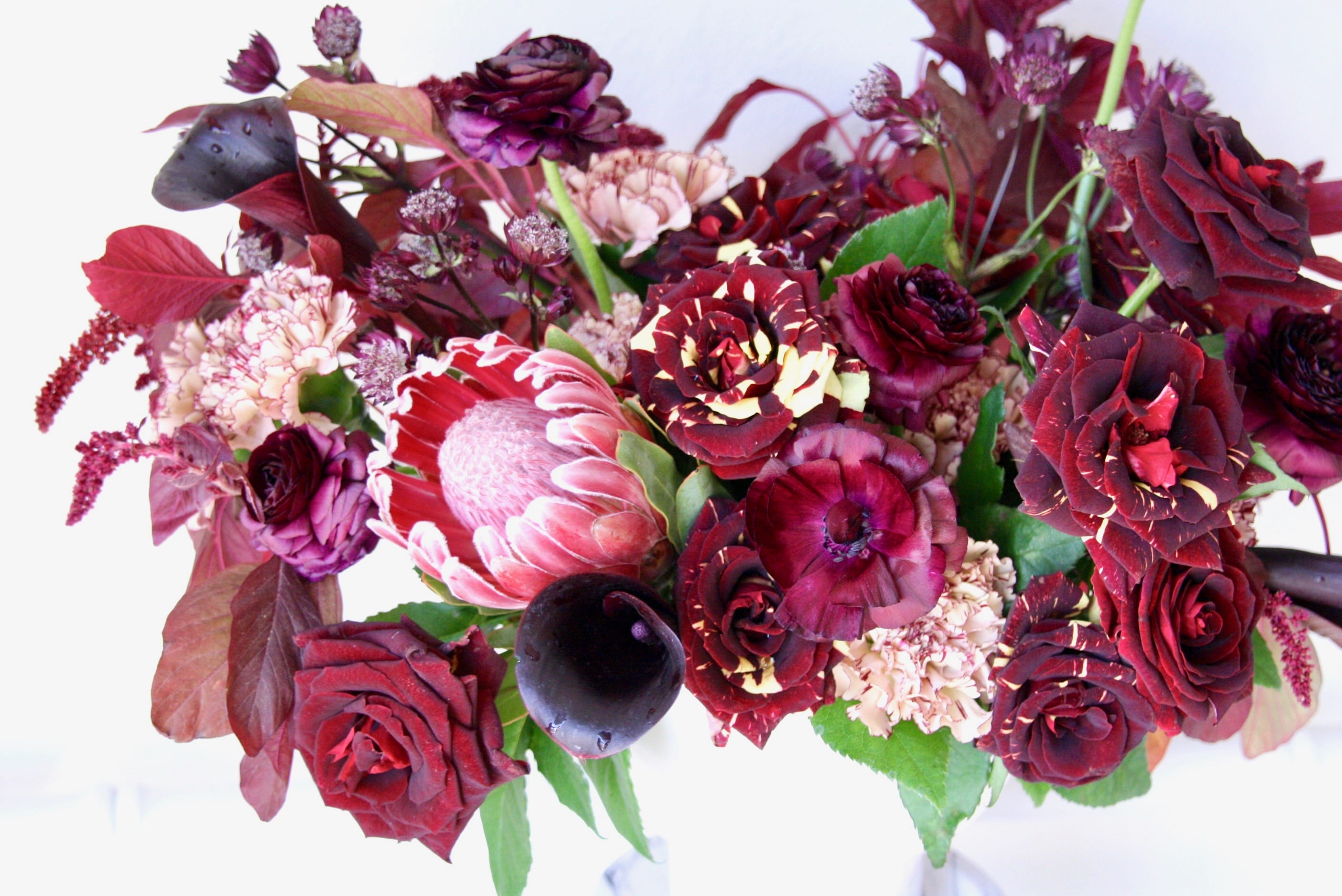 Jane in Santa Monica, CA | Plantation House Flowers-Santa ...