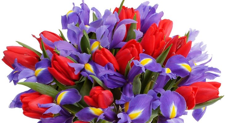Red Tulips And Purple Iris Vase in San Diego, CA | House of Stemms