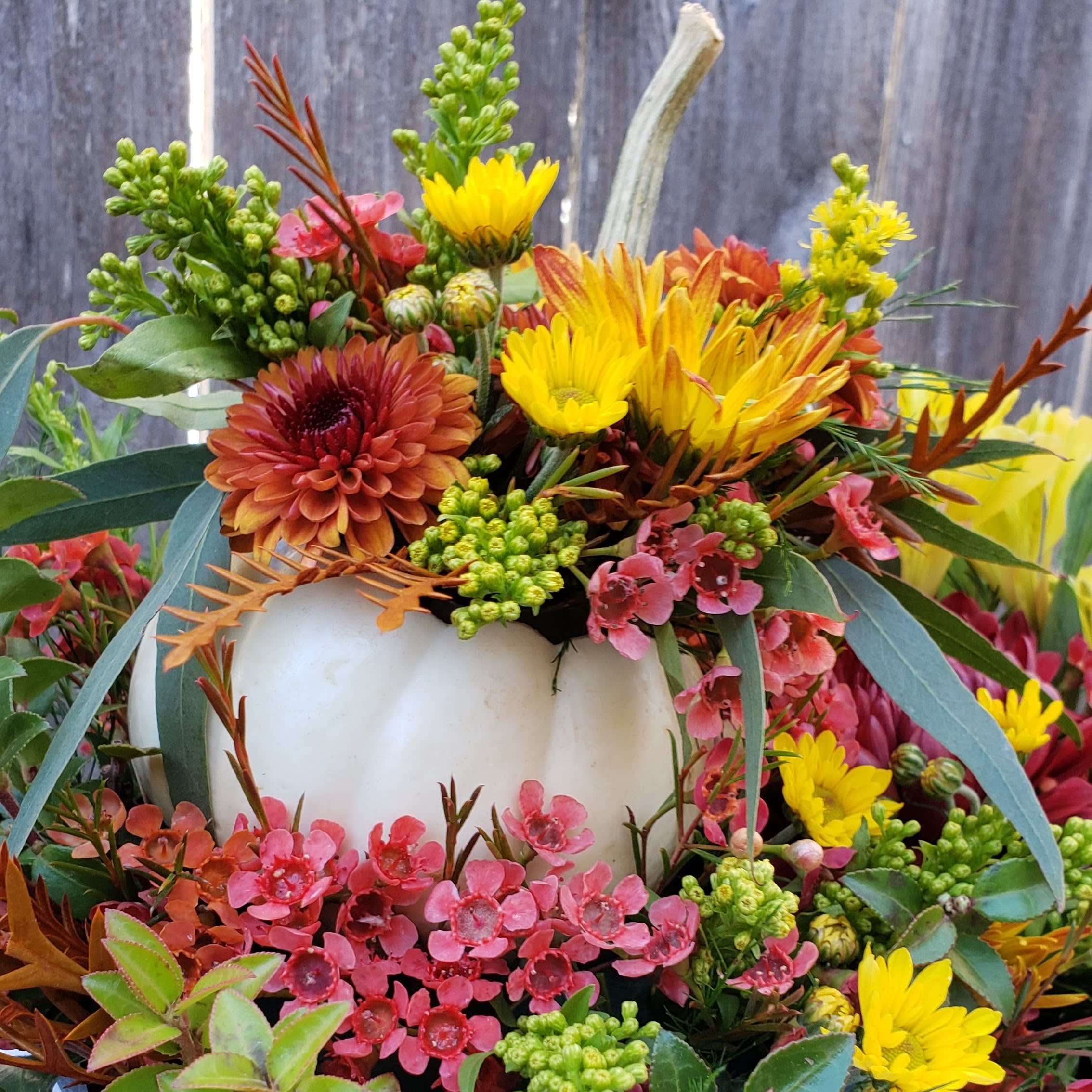 Fall Pumpkin Flower Arrangement in Olympia, WA Specialty Floral Design