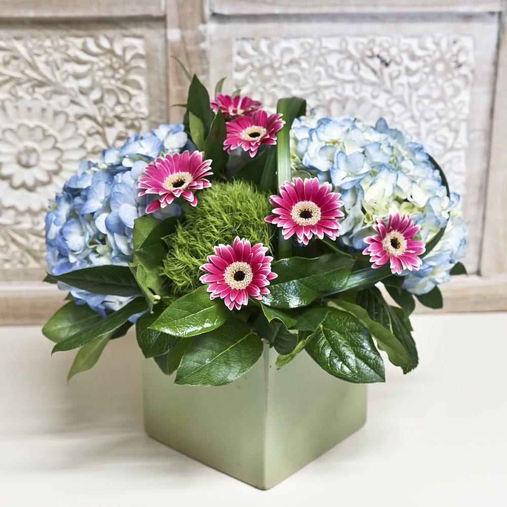SKY BLUE in San Diego, CA | Wholesale Flowers