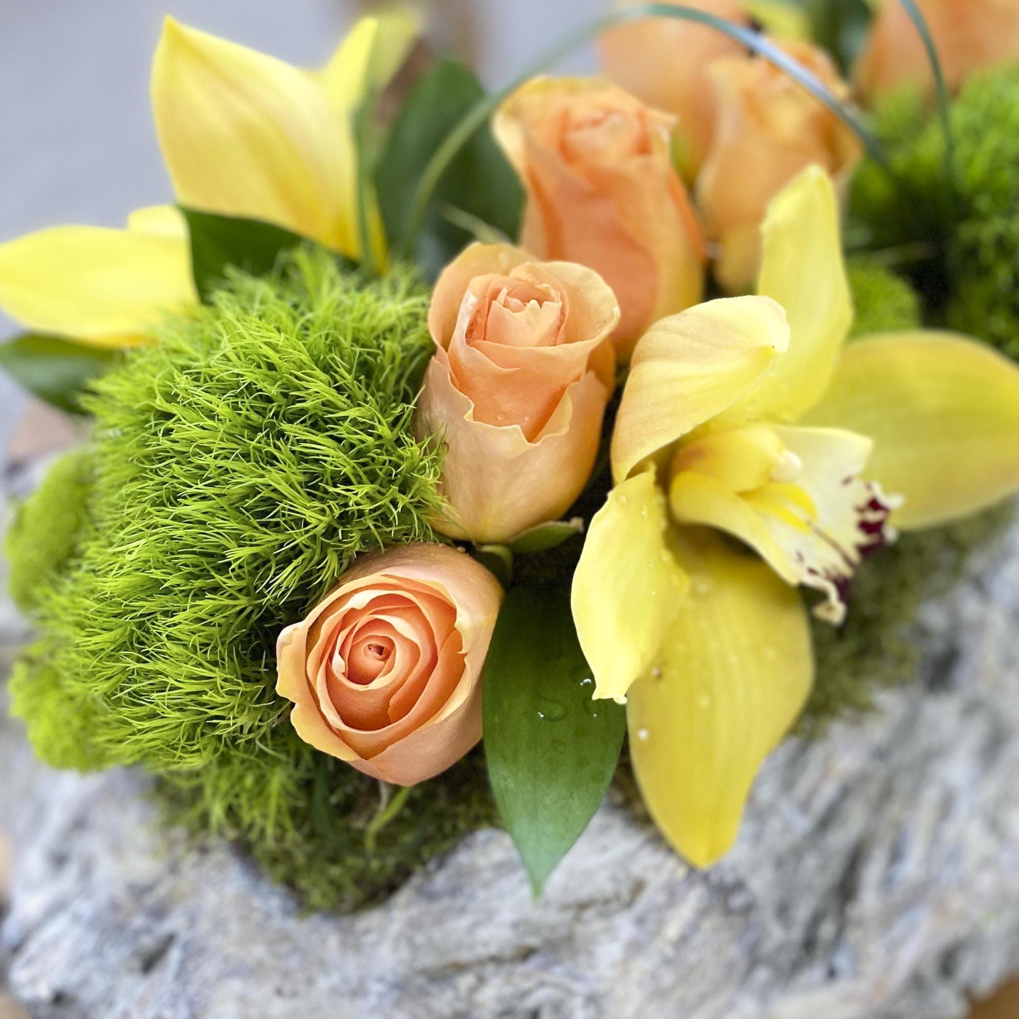YELLOW GODDESS in San Diego, CA | Wholesale Flowers