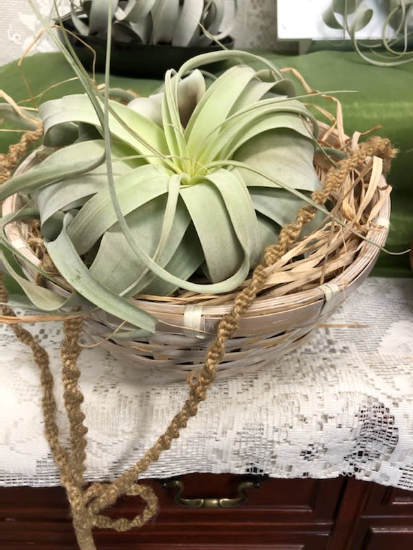 MIni Air Xerographica Plant in Jackson, MI | Karmays ...
