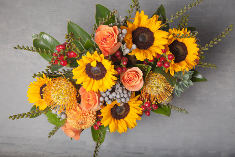 Eureka Valley Harvest in San Francisco, CA A New Leaf Florist