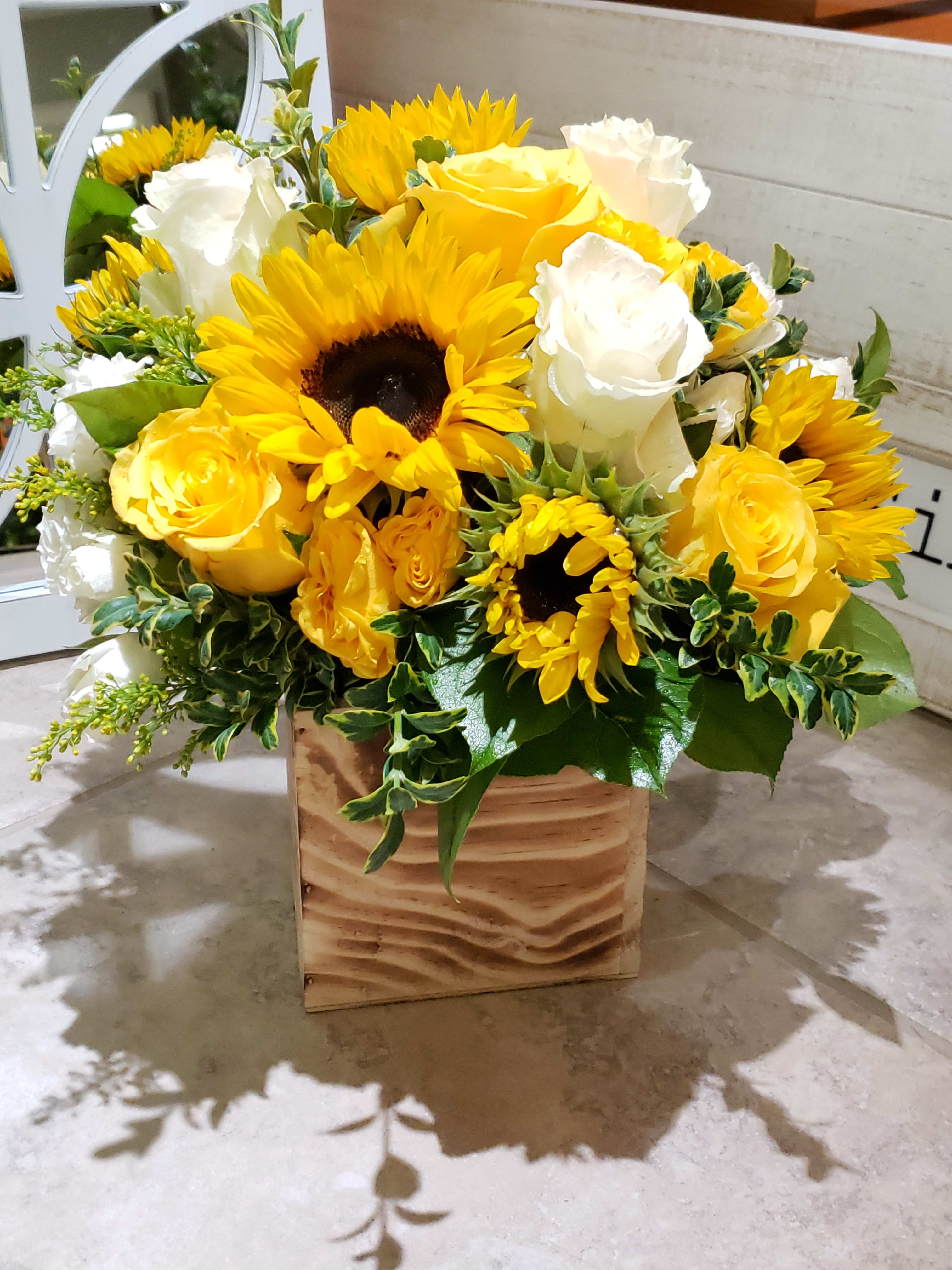 Sunflower and white and yellow Roses in Pleasanton, CA | Alexandria's ...