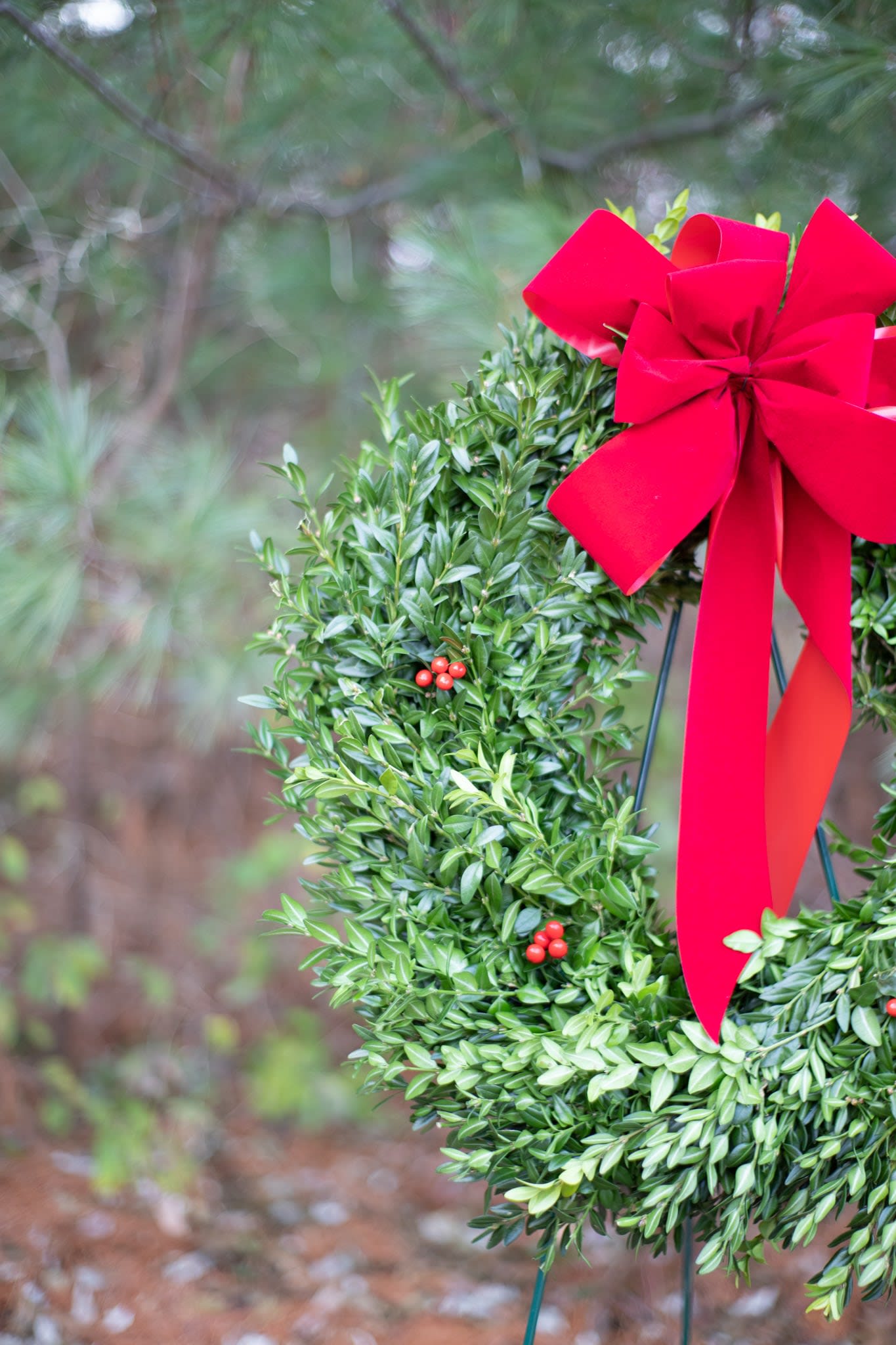 Berries and Boxwood Wreath in Uxbridge, MA | Lucille's Floral Designs