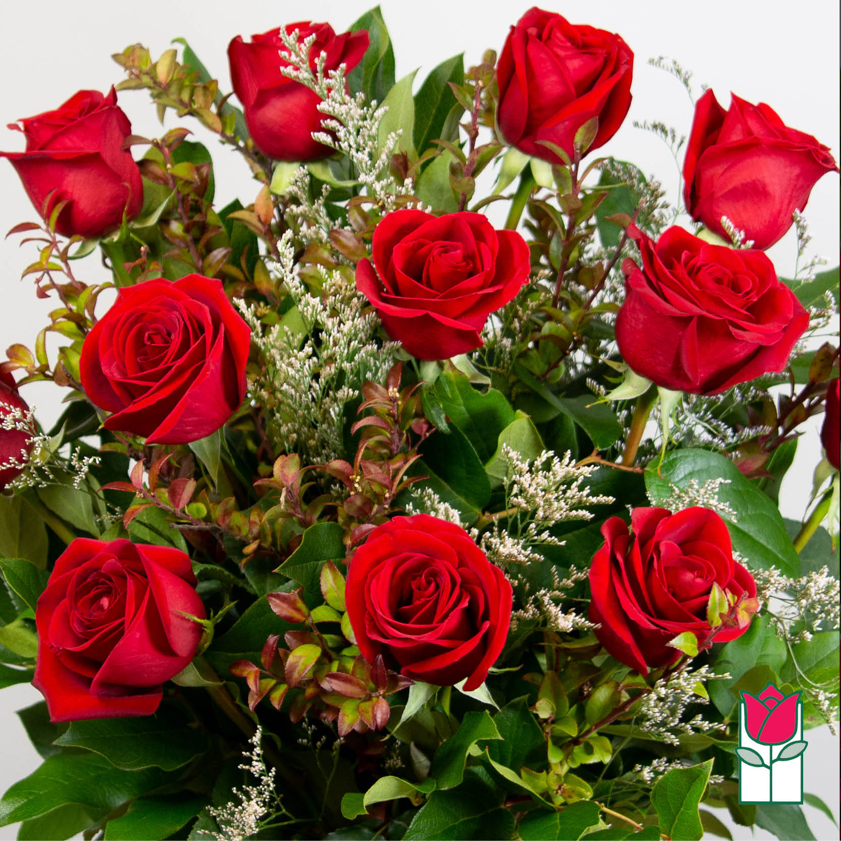 Beretanias Extra Long Stem Red Rose Masterpiece 30 Larger Flowers