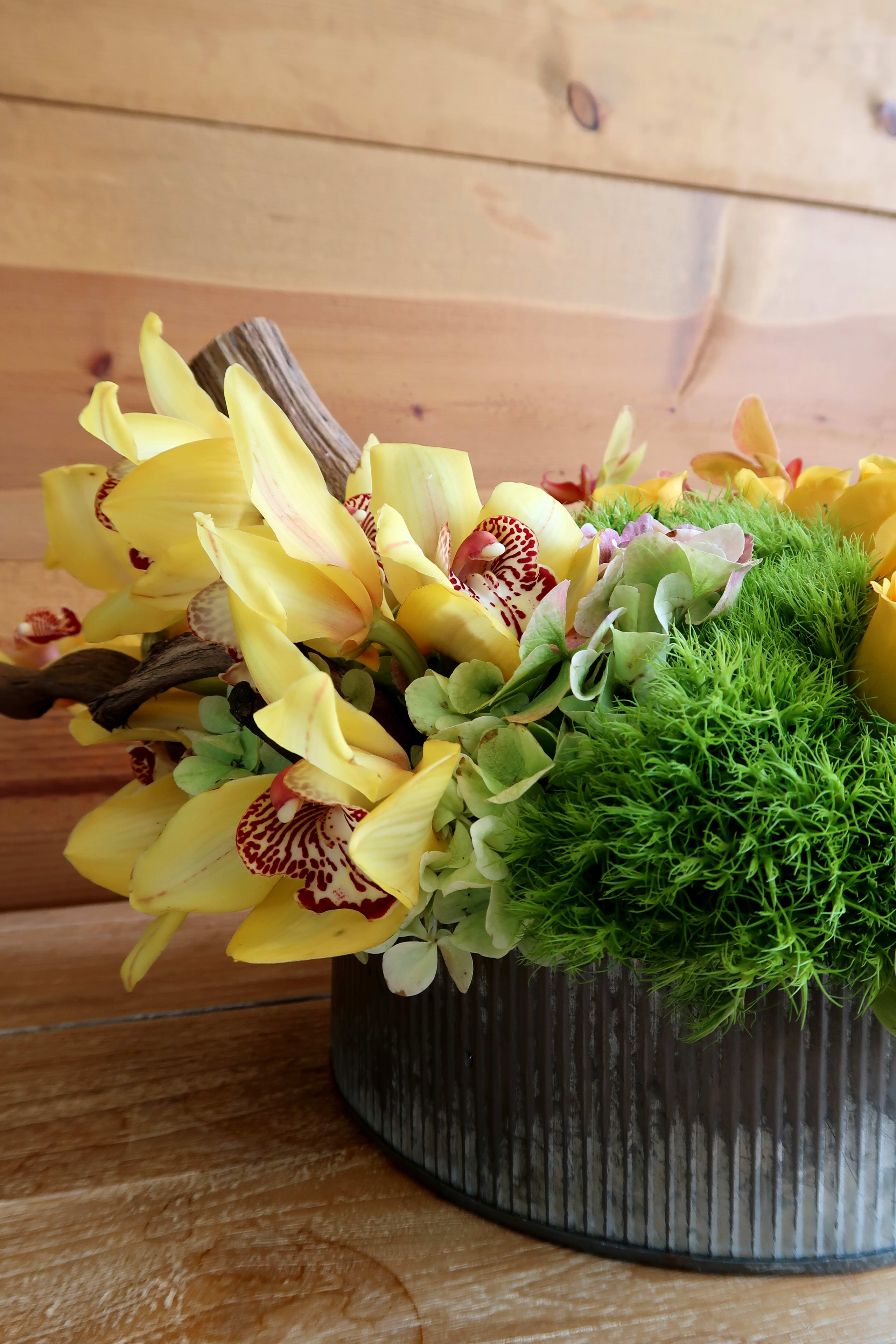 Day by the Sea in Miami, FL | Avant Gardens