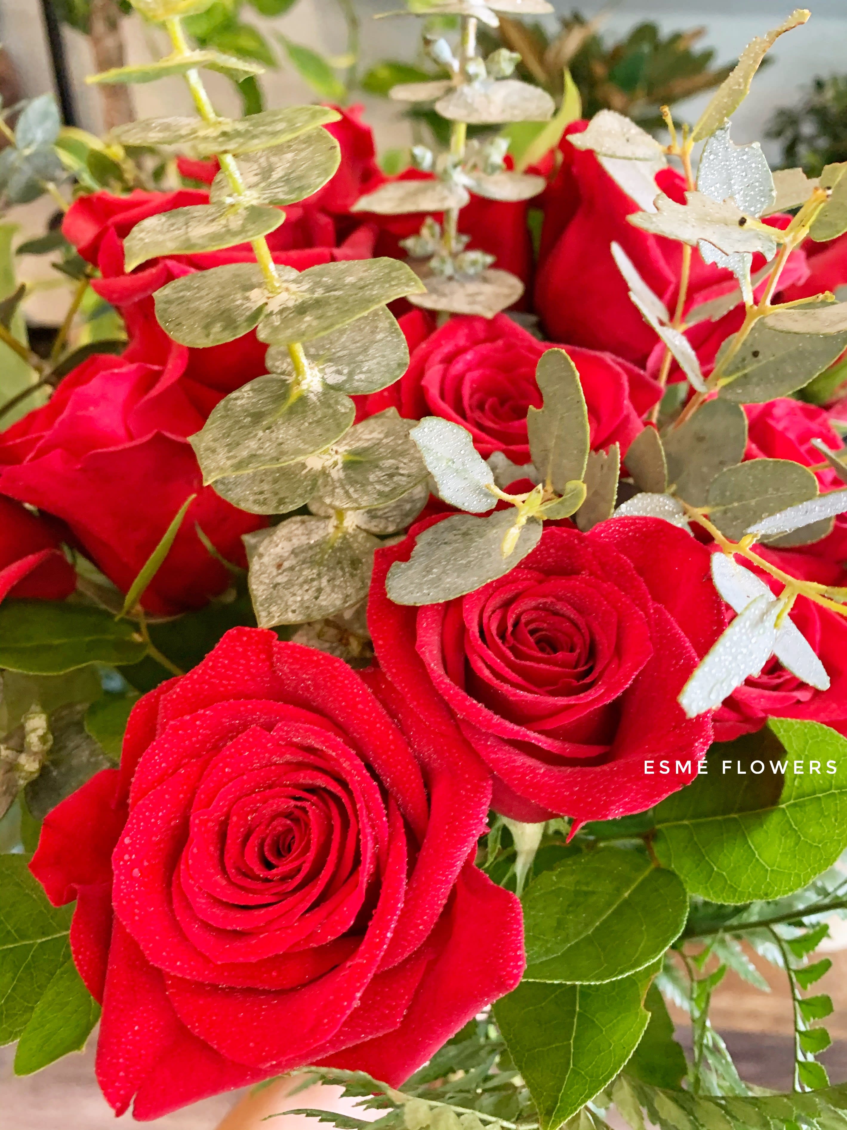 Red Roses Hand Tied 12 / 18 / 24 in Cliffside Park, NJ Esme Flowers