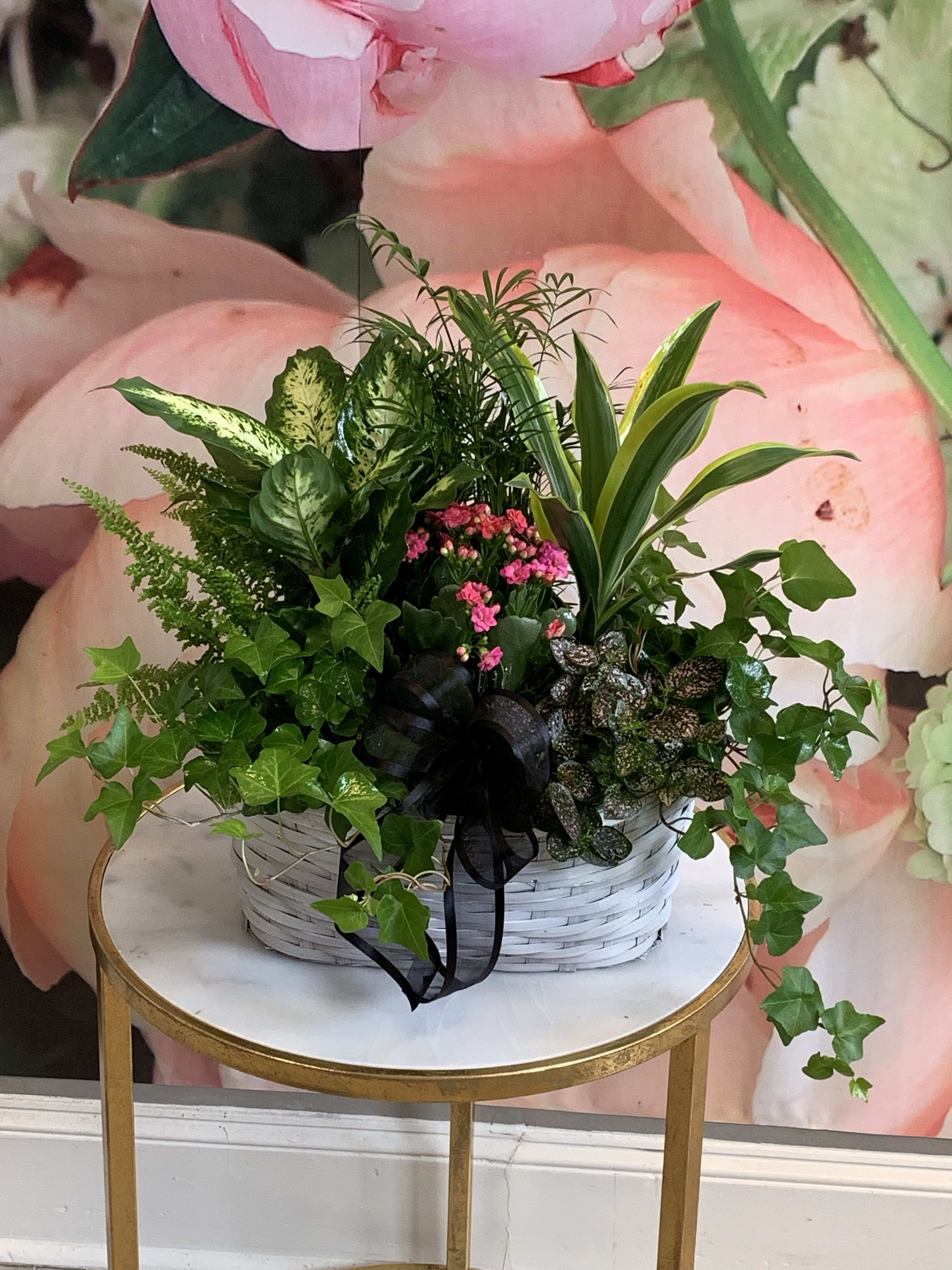 Basket Dish Garden in Memphis, TN | Premier Flowers
