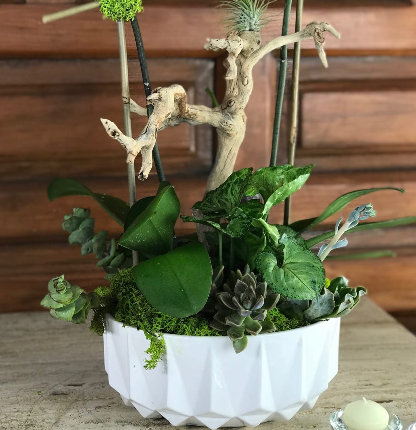 Ceramic Orchid pot in Los Angeles, CA Designs By David