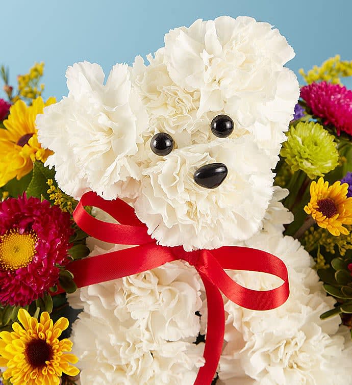 1800 store flowers puppy