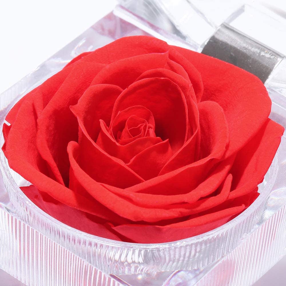 Preserved Eternal Forever Rose Plant Decor Anti Fade Transparent Cover For  Mothers Day From Yyuongg, $43.58
