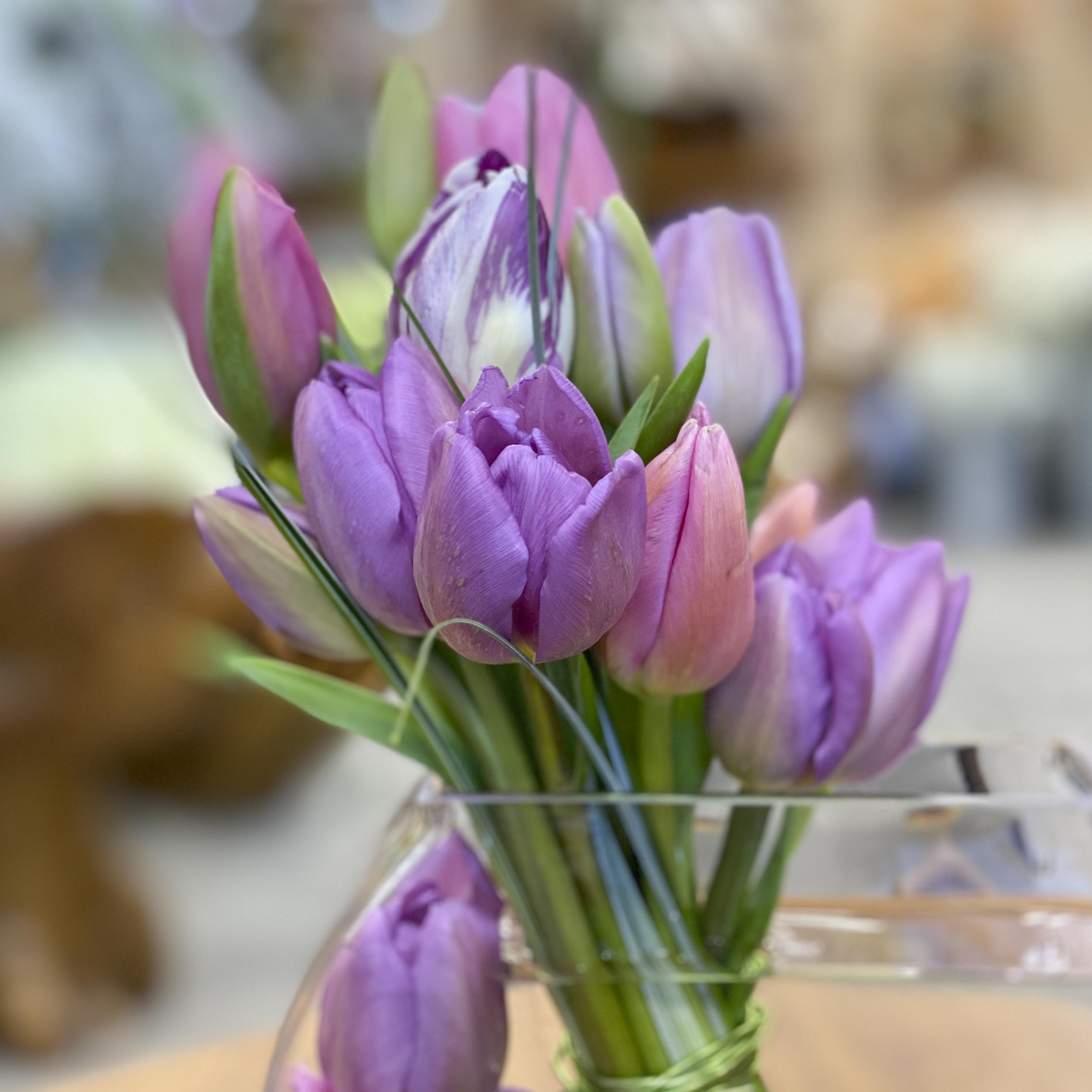 tulip bowl in San Diego, CA Wholesale Flowers