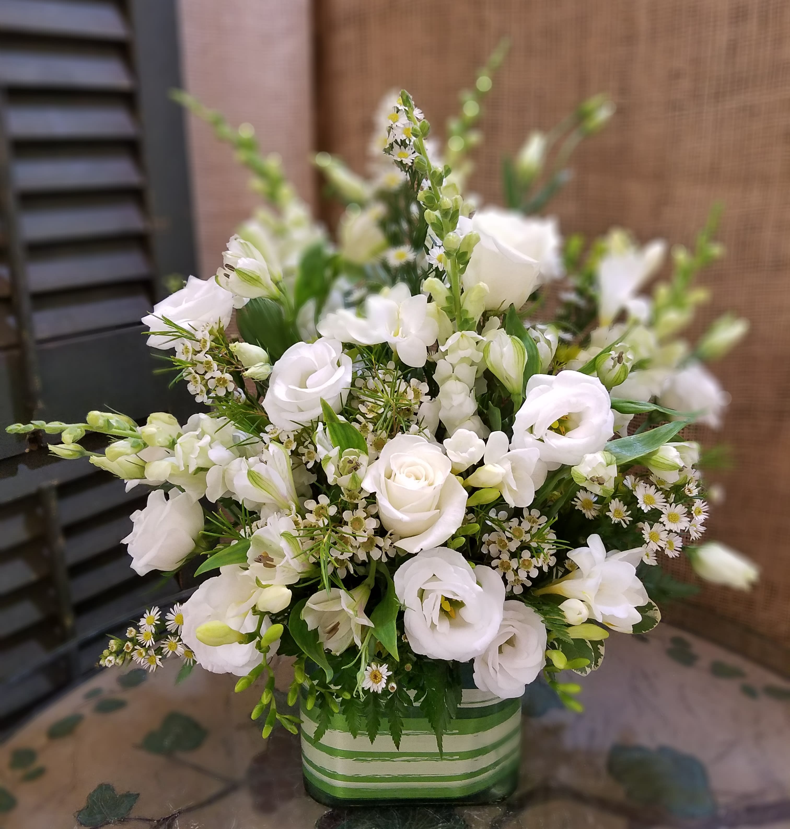 BUTTERFLY CUTIE in Wapakoneta, OH  Haehn Florist, Greenhouses, & Flower  Delivery