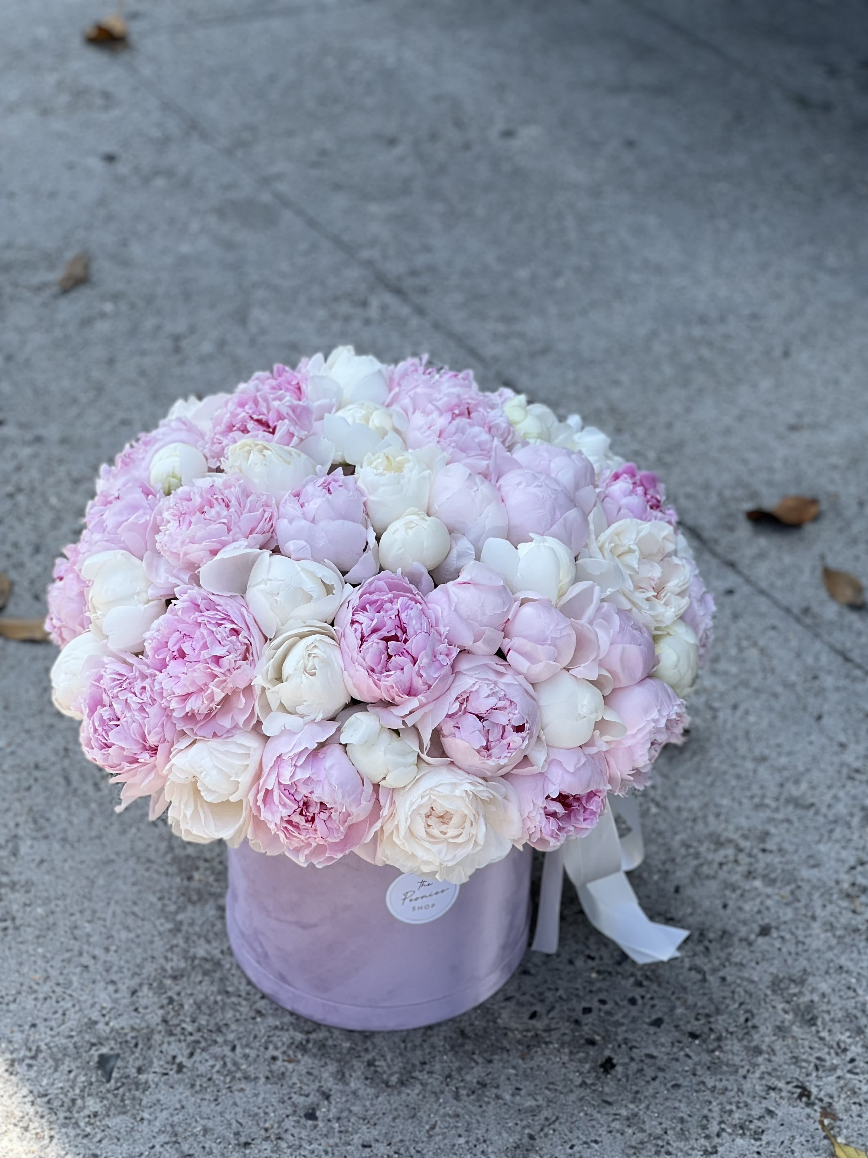 Peony Season Dallas in Dallas, TX The Peonies Shop Dallas