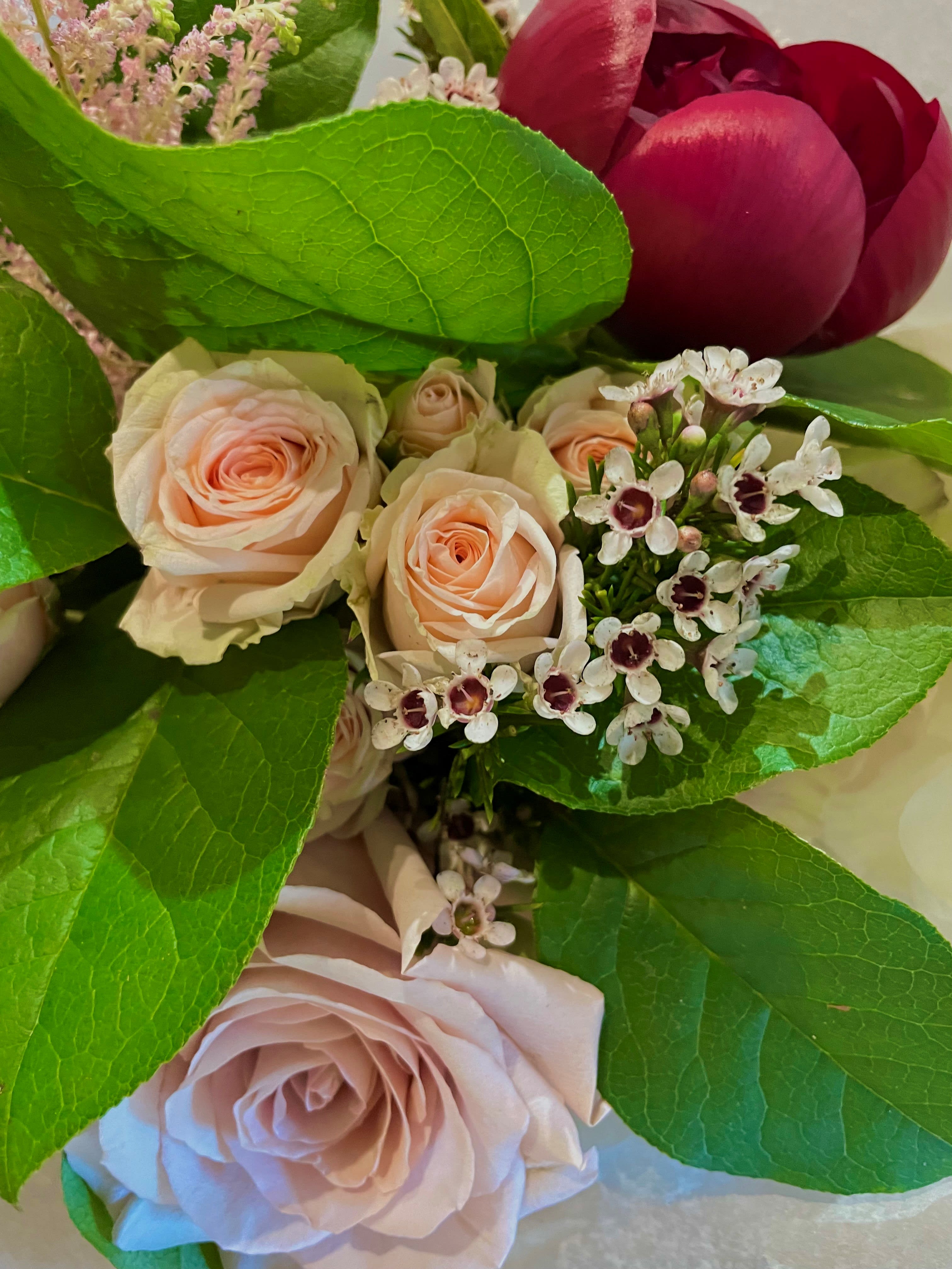 Daily Bunch Bouquet and more in Clarks Summit PA Central Park