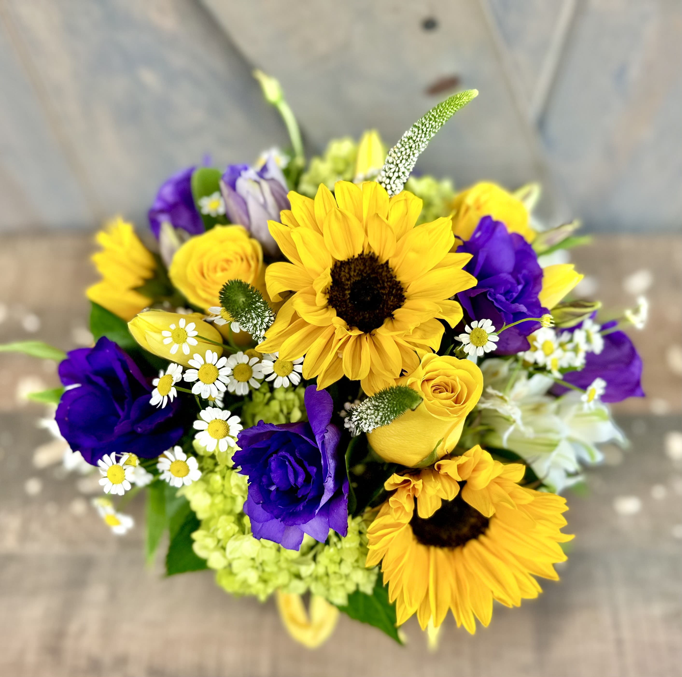 Radiant in Rolling Hills Estates, CA Palos Verdes Florist