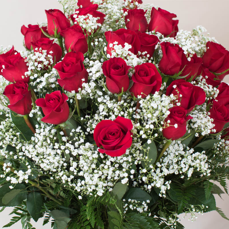 Abundant Love (BEST VALUE! with 4 Dozen Long Stem Roses) in Honolulu ...