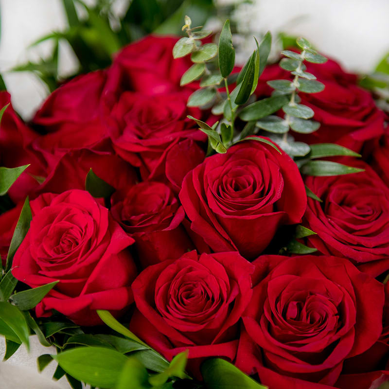 Dozen Red Roses Wrap Bouquet in Los Angeles, CA | Downtown Flowers