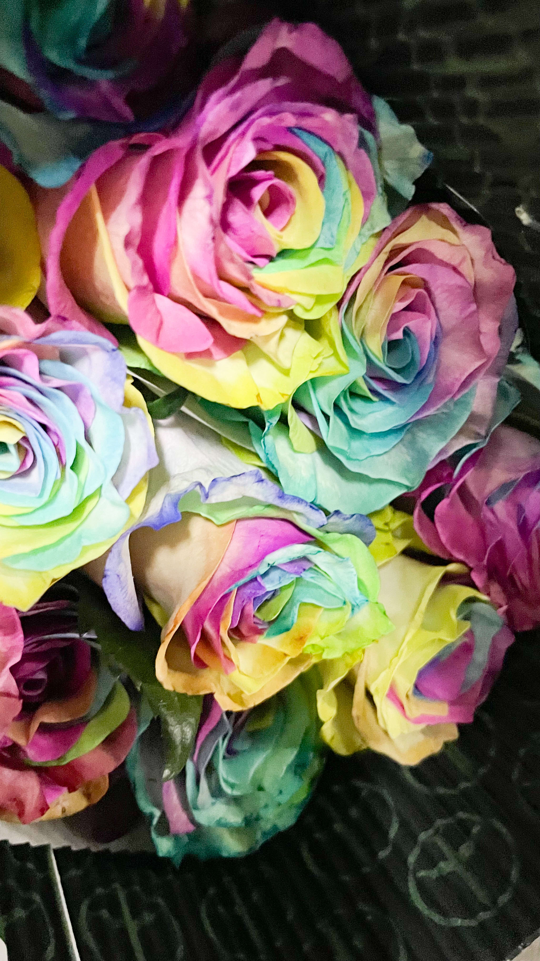 Rainbow Roses in Miami, FL Dolly's Florist