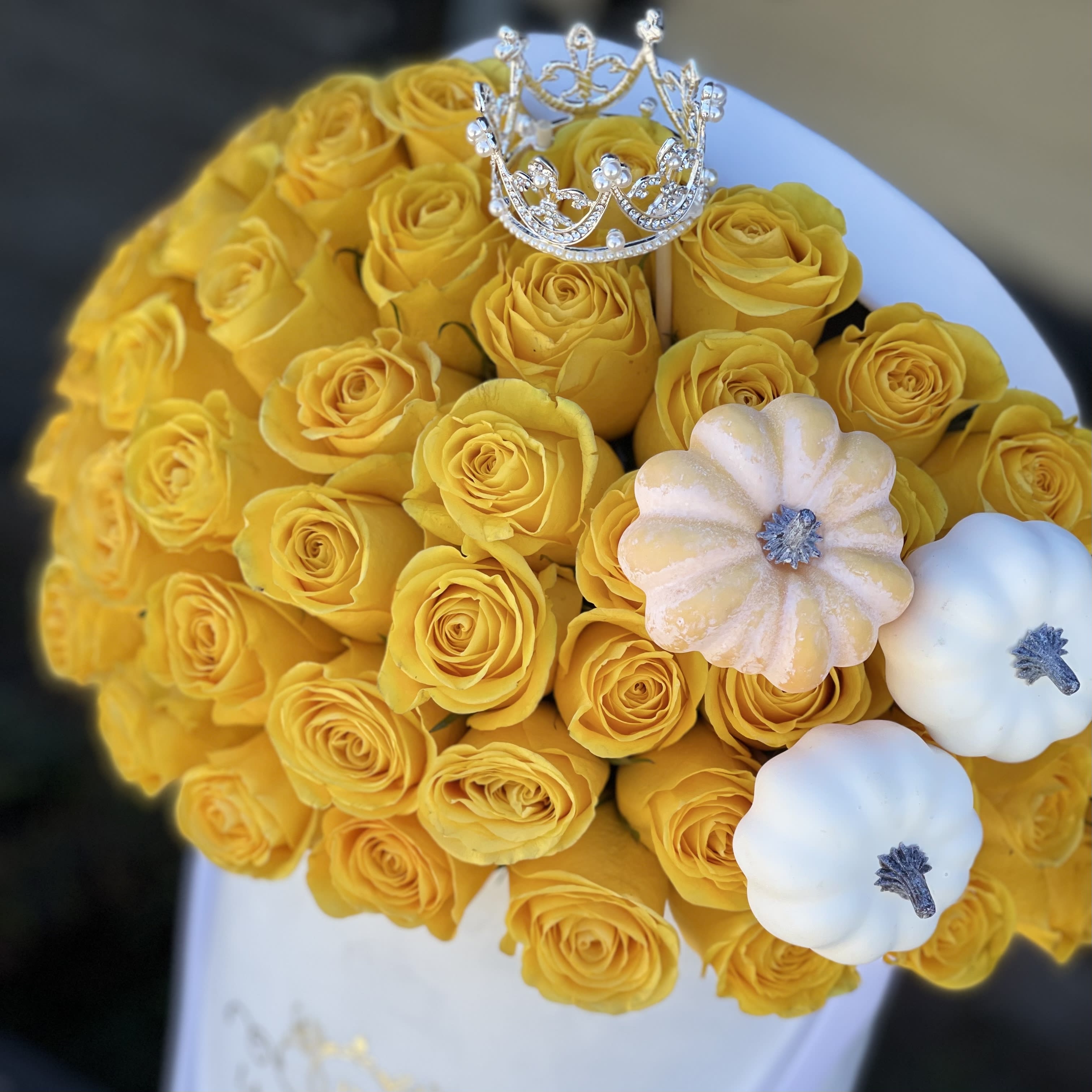 Cinderella Flowers Best Flower Site