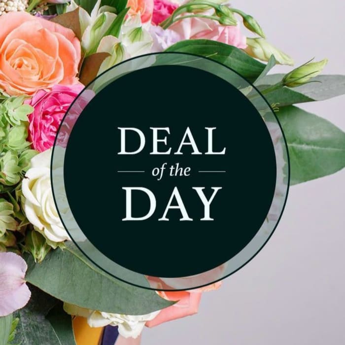 Deal of the Day - by Marion Smith Florist