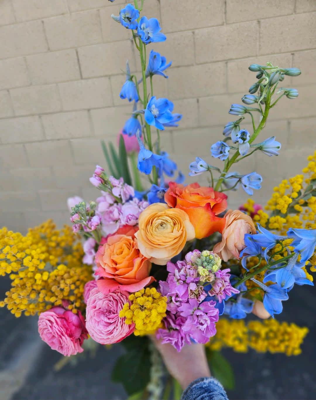 Designer's Choice Spring Colors in Yucca Valley, CA Cactus Flower