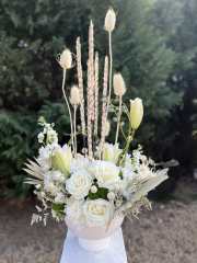 standard - Image 1