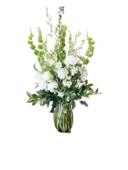 standard - Image 2