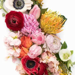 premium - Image 1