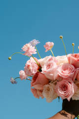 standard - Image 2