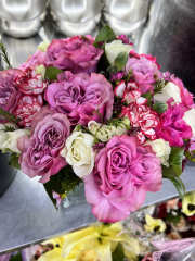 premium - Image 1