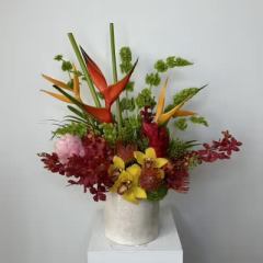 standard - Image 1