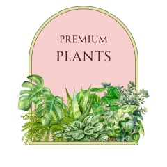 premium