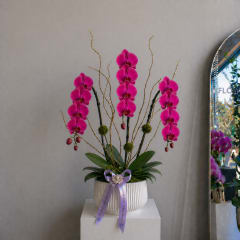 premium - Image 1