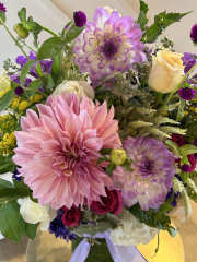 standard - Image 4