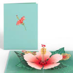 Pop-up card with a pink hibiscus flower on a teal cover