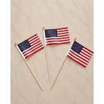  Flags