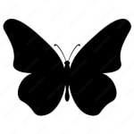 Black butterfly silhouette on a white background