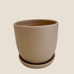 Beige ceramic plant pot with matching saucer on a plain background