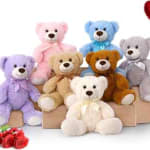 Colorful teddy bears arranged on boxes with a small bunch of red roses