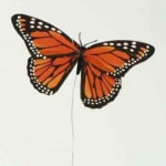 Orange and black butterfly decoration on a thin stick
