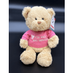 Plush teddy bear wearing a pink shirt that says "I'm the big sister"