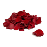Loose red rose petals scattered in a small pile on a white surface