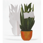 Potted snake plant with a blank card attached