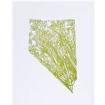 Lace-like green floral wrap on a white background