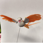 Humming Bird