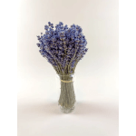 Dred Lavender Bundle